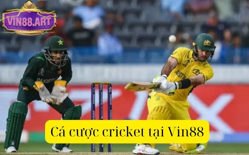 Cá cược cricket tại Vin88