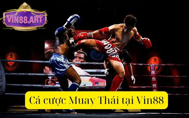 Cá cược Muay Thái tại Vin88