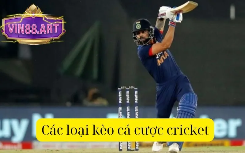 Các loại kèo cá cược cricket