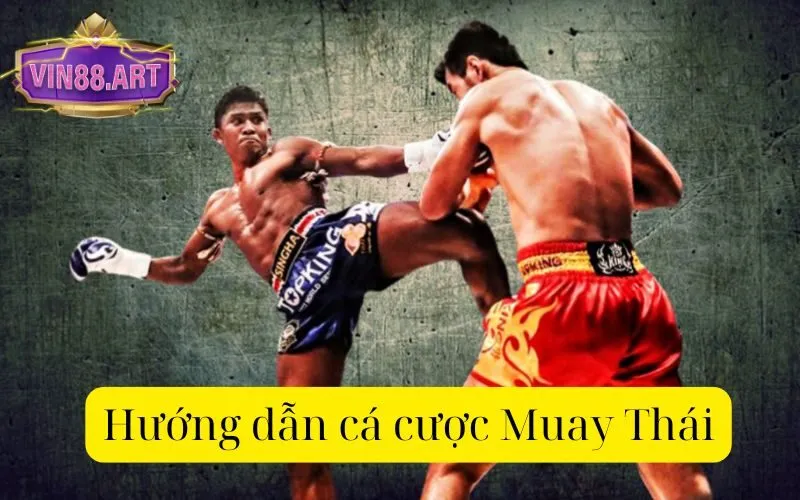 Hướng dẫn cá cược Muay Thái