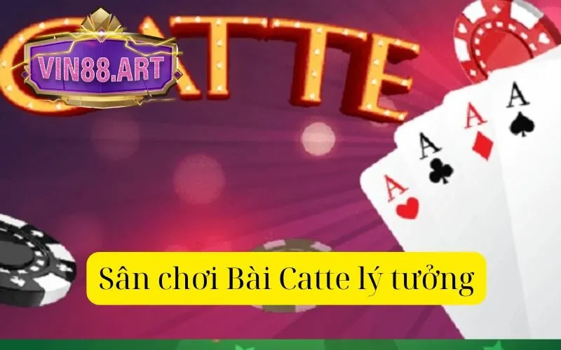 Sân chơi Bài Catte lý tưởng