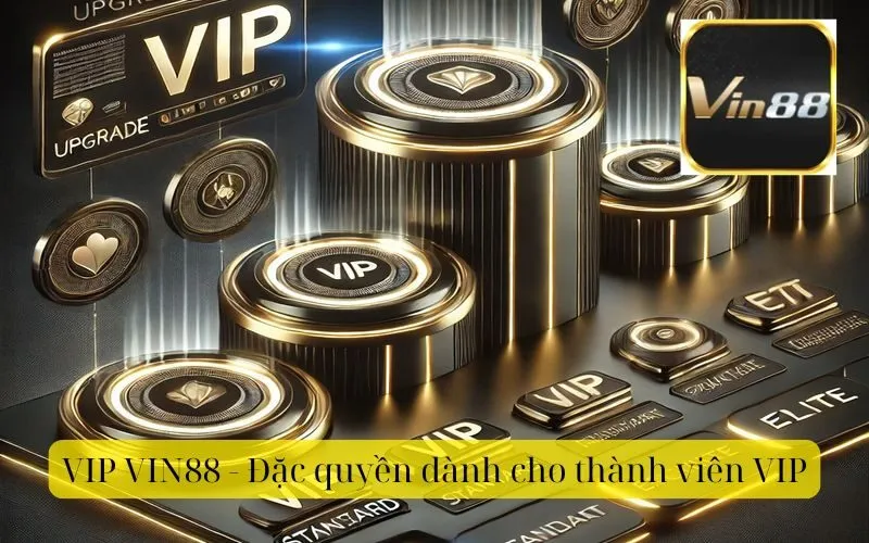 VIP VIN88 - Đặc quyền dành cho thành viên VIP