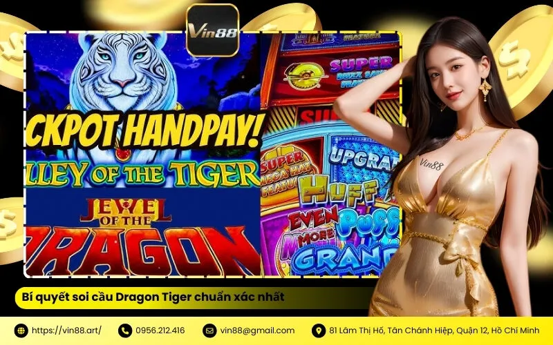 Bí quyết soi cầu Dragon Tiger chuẩn xác nhất