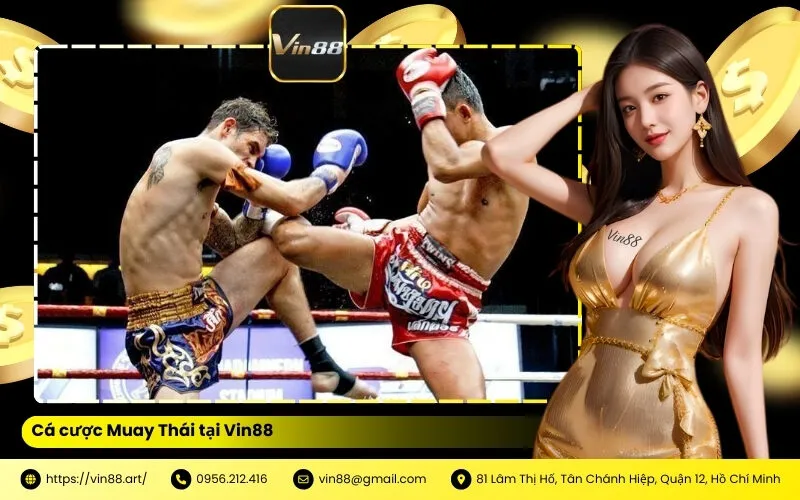 Cá cược Muay Thái tại Vin88