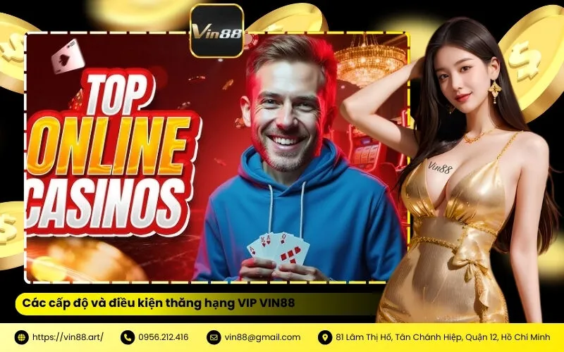 Các cấp độ và điều kiện thăng hạng VIP VIN88