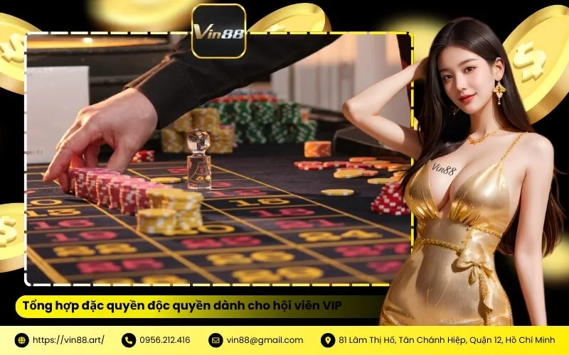 Tổng hợp đặc quyền độc quyền dành cho hội viên VIP